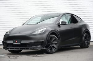 TESLA ModelY