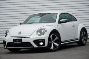 Volkswagen The Beetle