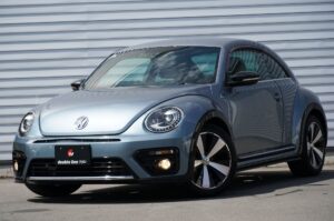 Volkswagen The Beetle
