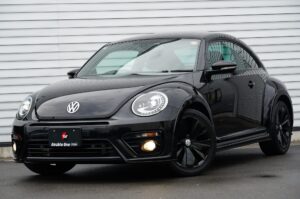 Volkswagen The Beetle